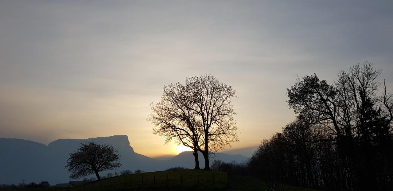 Gite Clair, Spacieux Et Cosy Avec Vue Sur Le Massif De La Chartreuse Apartment Sainte-Helene-du-Lac ภายนอก รูปภาพ