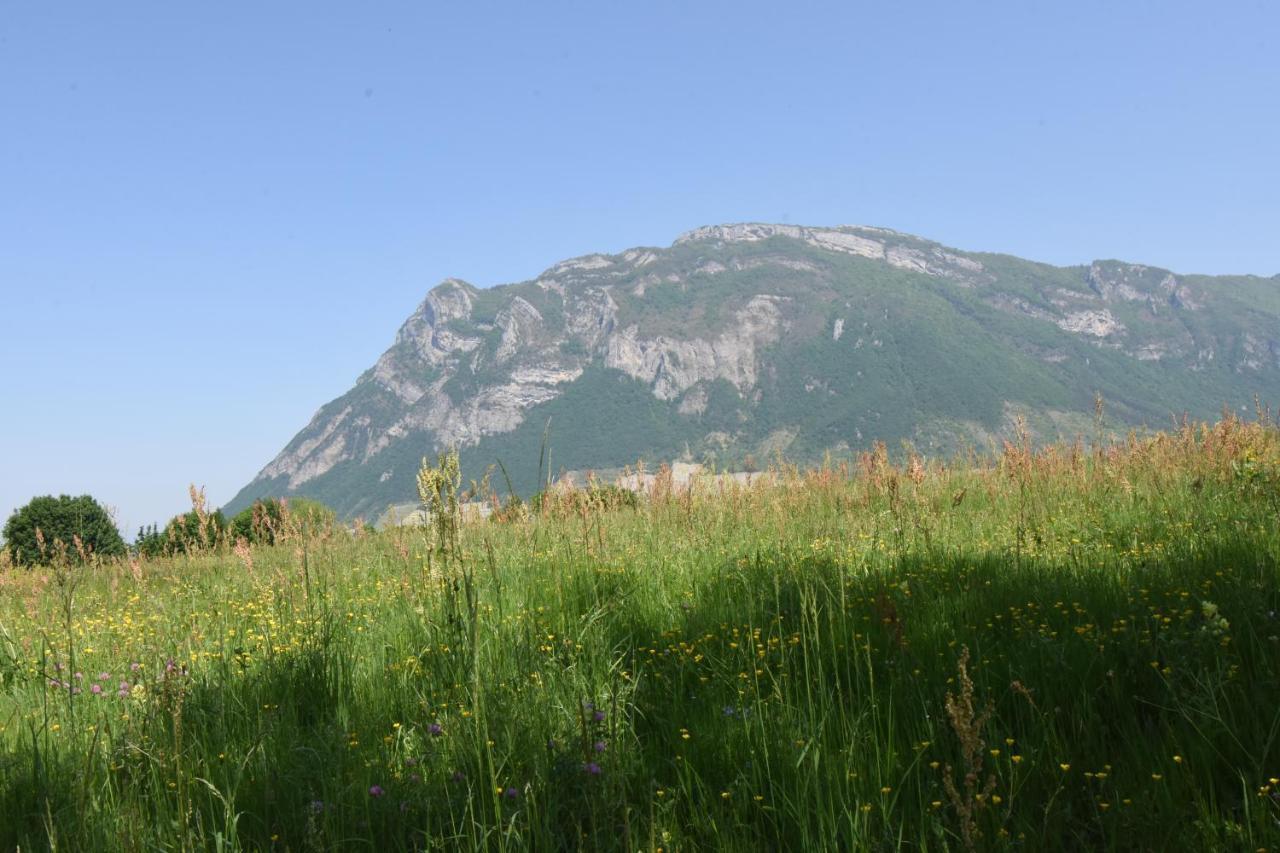 Gite Clair, Spacieux Et Cosy Avec Vue Sur Le Massif De La Chartreuse Apartment Sainte-Helene-du-Lac ภายนอก รูปภาพ